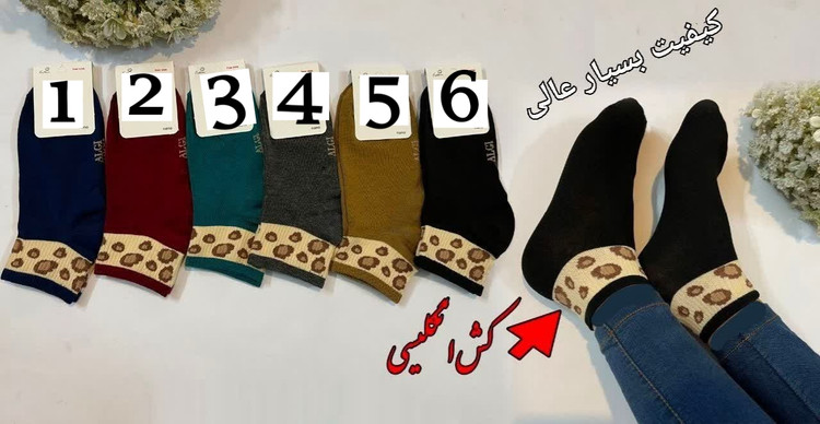 مچی کشی پلنگی الوان