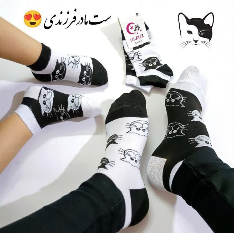ست مادر فرزندی گربه مناسب نوزاد تا بزرگسال