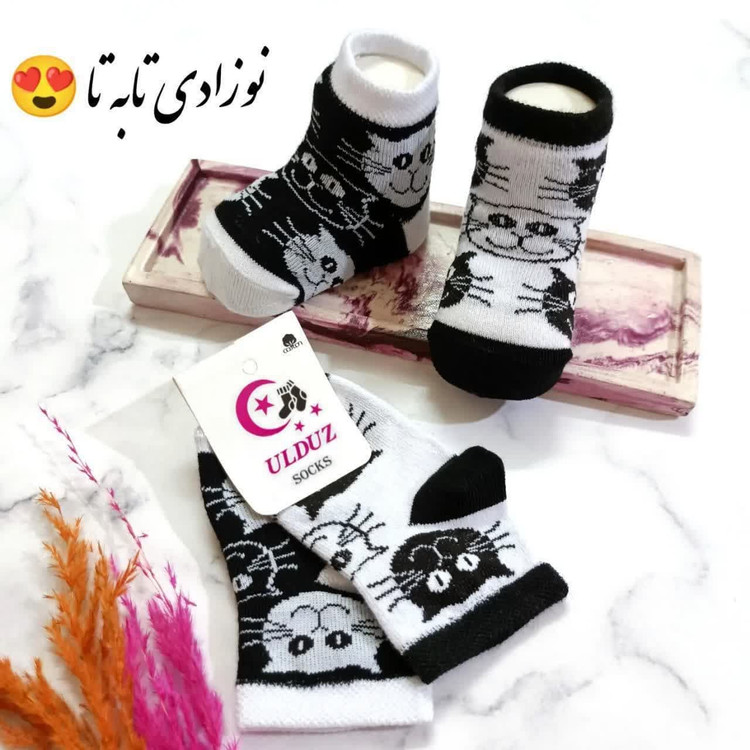ست مادر فرزندی گربه مناسب نوزاد تا بزرگسال